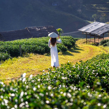 Woman in a white dress and hat standing in a tea field with wooden sheds in the background.