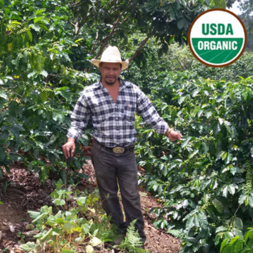 Man standing among coffee trees with a USDA Organic logo above him